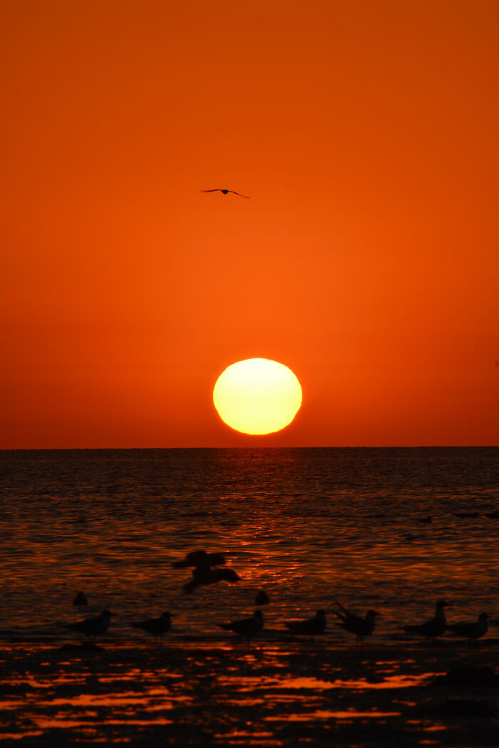 Hey Pandas, Share The Prettiest Photo In Your Camera Roll (Closed) Hey Pandas, Share The Prettiest Photo In Your Camera Roll (Closed)