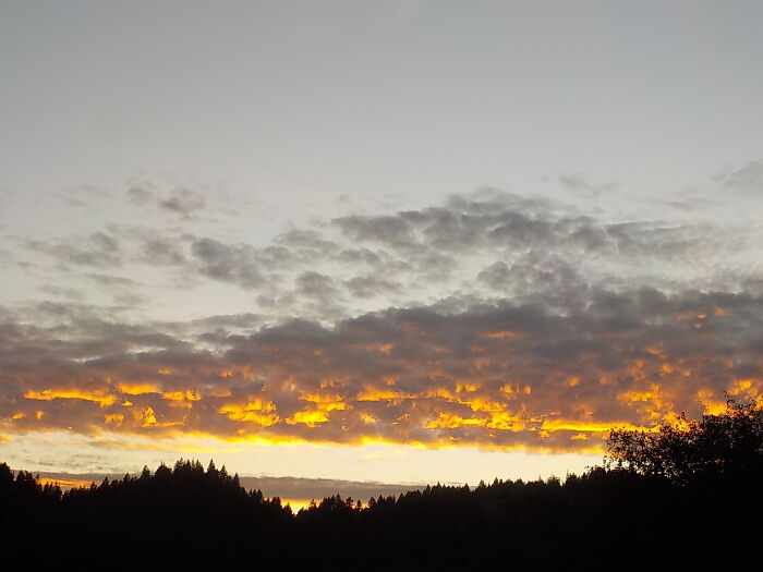 Hey Pandas, Share The Prettiest Photo In Your Camera Roll (Closed) Hey Pandas, Share The Prettiest Photo In Your Camera Roll (Closed)