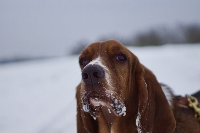 Hey Pandas, Share The Prettiest Photo In Your Camera Roll (Closed) Hey Pandas, Share The Prettiest Photo In Your Camera Roll (Closed)