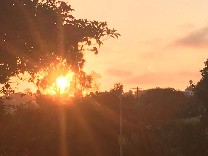 Hey Pandas, Share The Prettiest Photo In Your Camera Roll (Closed) Hey Pandas, Share The Prettiest Photo In Your Camera Roll (Closed)