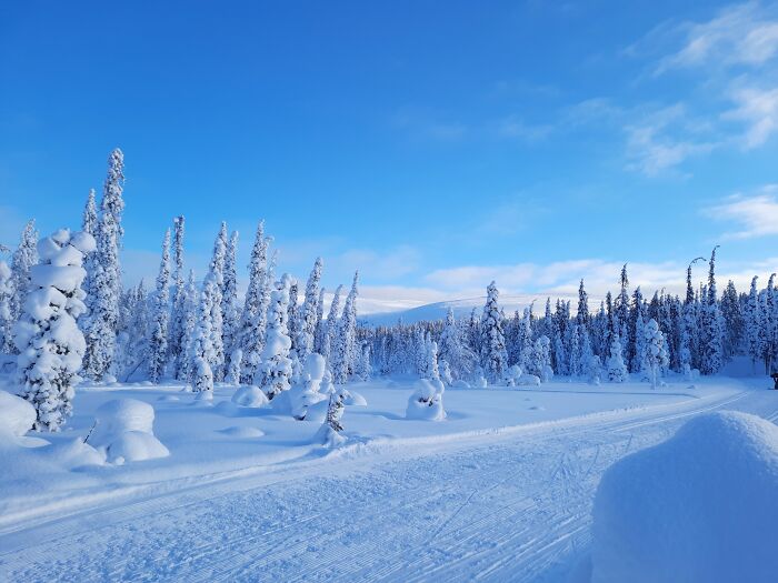 Hey Pandas, Share The Prettiest Photo In Your Camera Roll (Closed) Hey Pandas, Share The Prettiest Photo In Your Camera Roll (Closed)