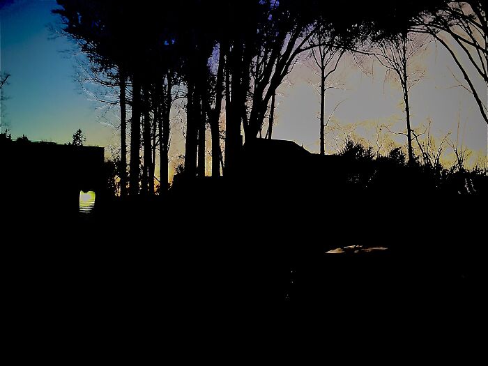 Hey Pandas, Share The Prettiest Photo In Your Camera Roll (Closed) Hey Pandas, Share The Prettiest Photo In Your Camera Roll (Closed)