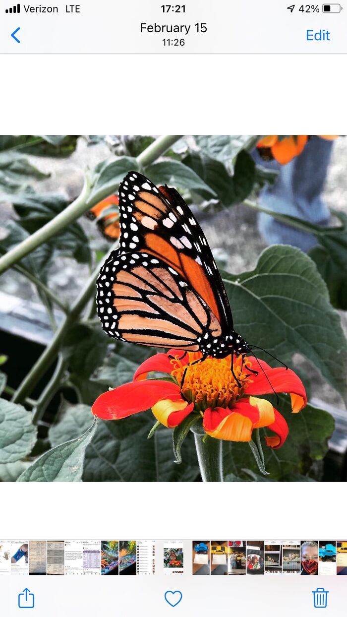 Hey Pandas, Share The Prettiest Photo In Your Camera Roll (Closed) Hey Pandas, Share The Prettiest Photo In Your Camera Roll (Closed)