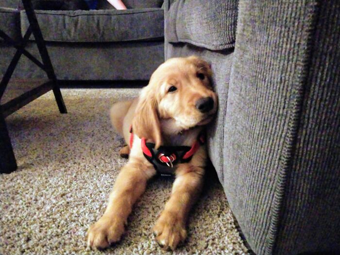 Hey Pandas, Share The Prettiest Photo In Your Camera Roll (Closed) Hey Pandas, Share The Prettiest Photo In Your Camera Roll (Closed)