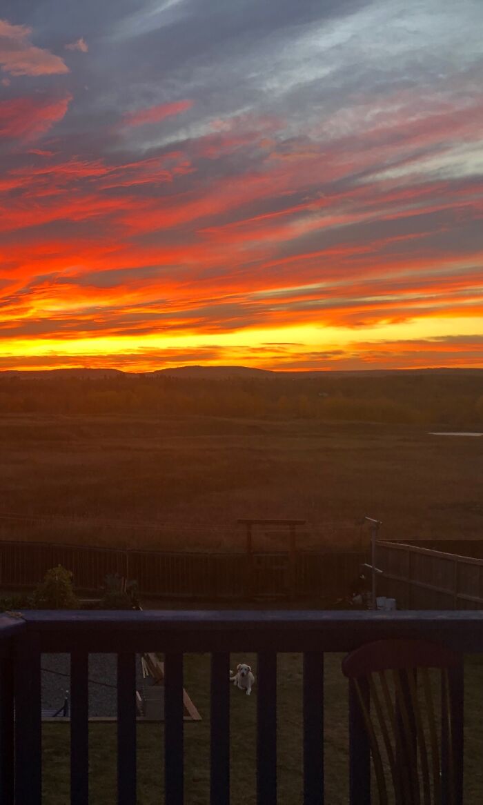 Hey Pandas, Share The Prettiest Photo In Your Camera Roll (Closed) Hey Pandas, Share The Prettiest Photo In Your Camera Roll (Closed)