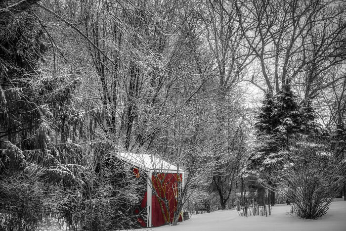 Hey Pandas, Share The Prettiest Photo In Your Camera Roll (Closed) Hey Pandas, Share The Prettiest Photo In Your Camera Roll (Closed)