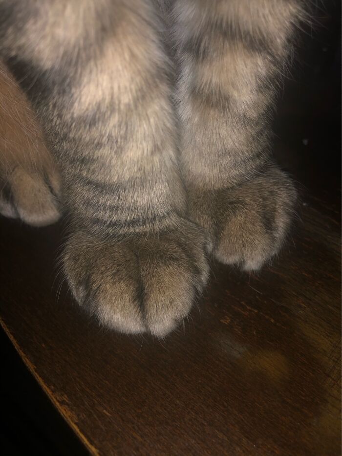 Hey Pandas, Share The Prettiest Photo In Your Camera Roll (Closed) Hey Pandas, Share The Prettiest Photo In Your Camera Roll (Closed)