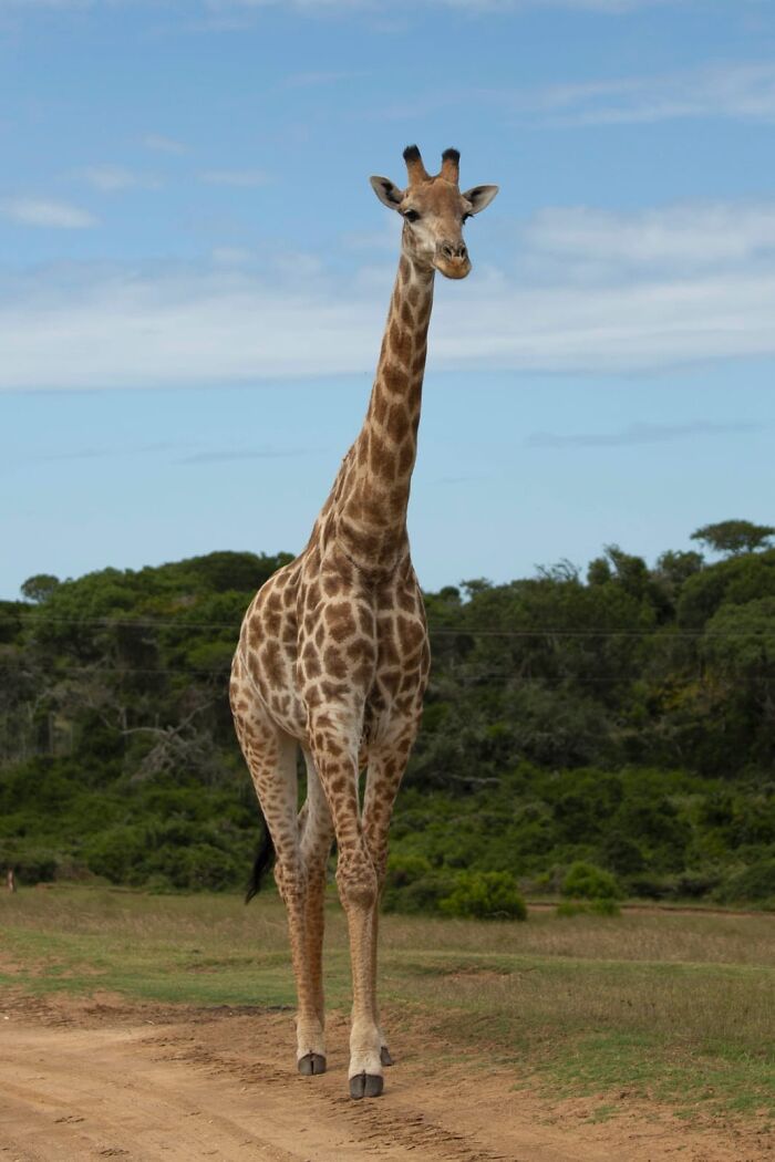 Hey Pandas, Share The Prettiest Photo In Your Camera Roll (Closed) Hey Pandas, Share The Prettiest Photo In Your Camera Roll (Closed)