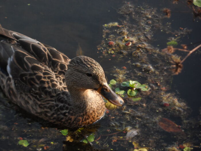 Hey Pandas, Share The Prettiest Photo In Your Camera Roll (Closed) Hey Pandas, Share The Prettiest Photo In Your Camera Roll (Closed)