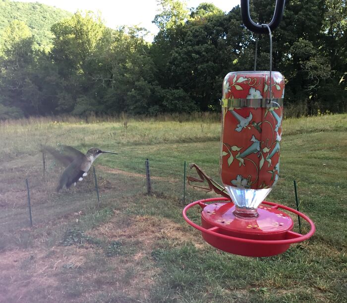 Hey Pandas, Share The Prettiest Photo In Your Camera Roll (Closed) Hey Pandas, Share The Prettiest Photo In Your Camera Roll (Closed)