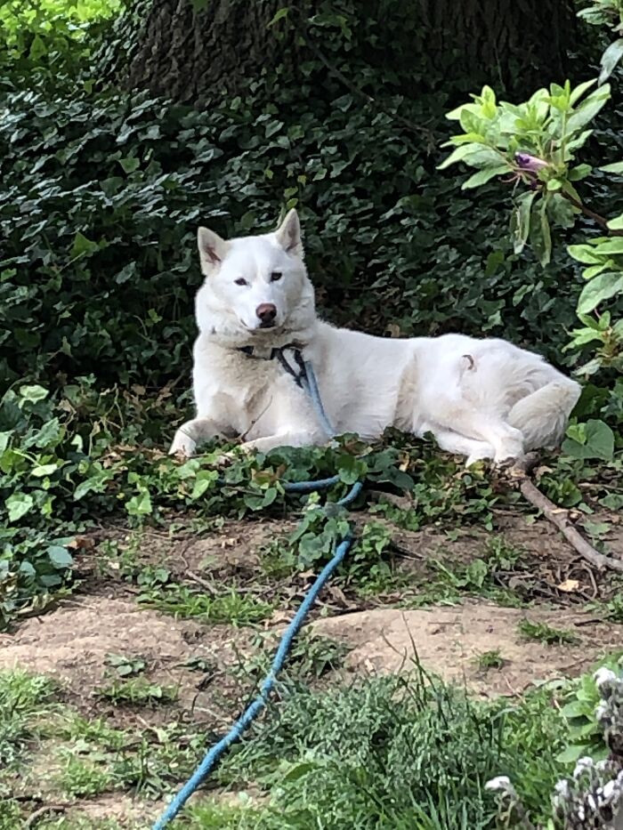 Hey Pandas, Share The Prettiest Photo In Your Camera Roll (Closed) Hey Pandas, Share The Prettiest Photo In Your Camera Roll (Closed)