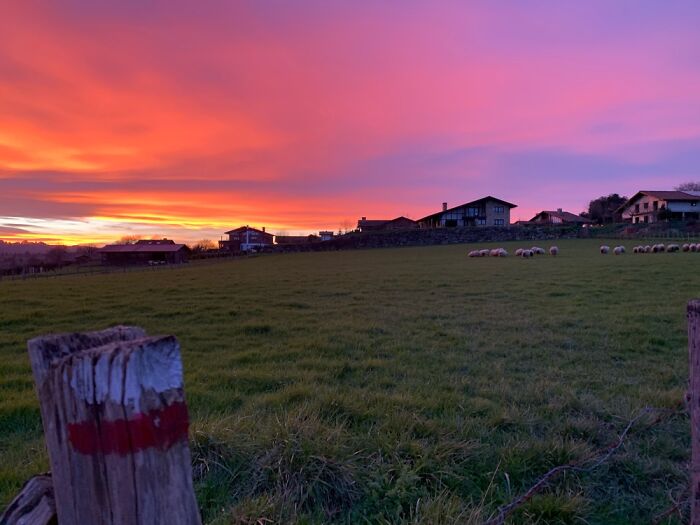 Hey Pandas, Share The Prettiest Photo In Your Camera Roll (Closed) Hey Pandas, Share The Prettiest Photo In Your Camera Roll (Closed)