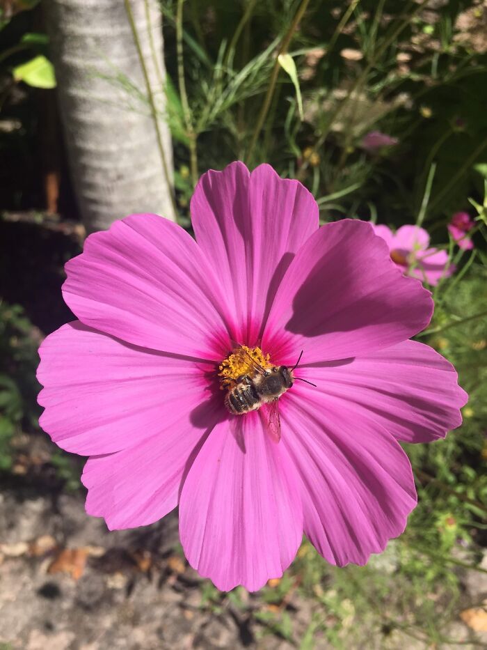 Hey Pandas, Share The Prettiest Photo In Your Camera Roll (Closed) Hey Pandas, Share The Prettiest Photo In Your Camera Roll (Closed)