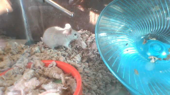 Hey Pandas, Share The Prettiest Photo In Your Camera Roll (Closed) Hey Pandas, Share The Prettiest Photo In Your Camera Roll (Closed)