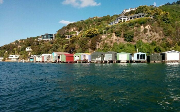 Hey Pandas, Share The Prettiest Photo In Your Camera Roll (Closed) Hey Pandas, Share The Prettiest Photo In Your Camera Roll (Closed)