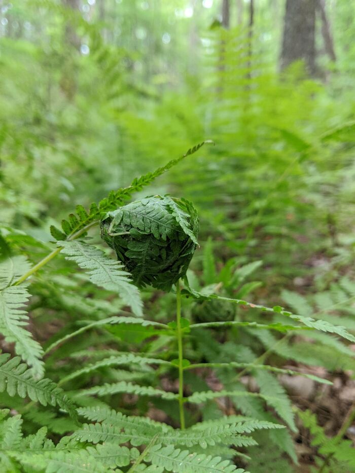 Hey Pandas, Share The Prettiest Photo In Your Camera Roll (Closed) Hey Pandas, Share The Prettiest Photo In Your Camera Roll (Closed)