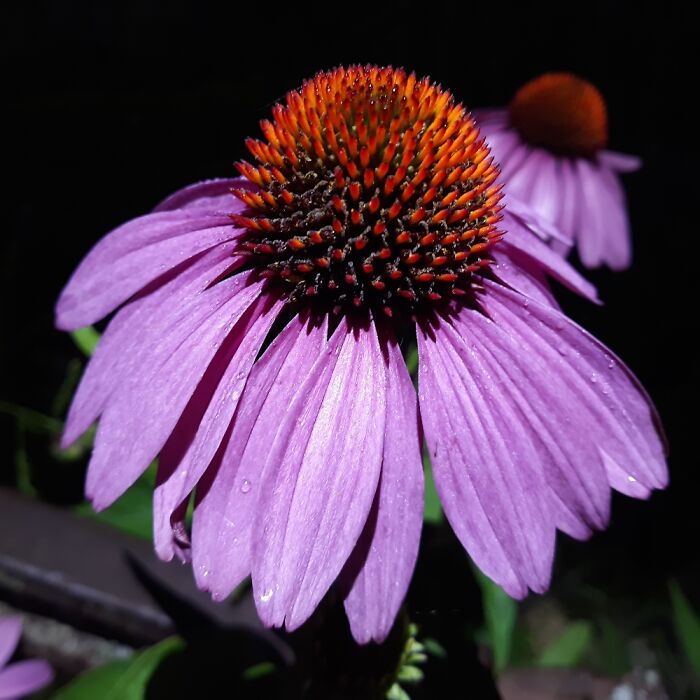 Hey Pandas, Share The Prettiest Photo In Your Camera Roll (Closed) Hey Pandas, Share The Prettiest Photo In Your Camera Roll (Closed)