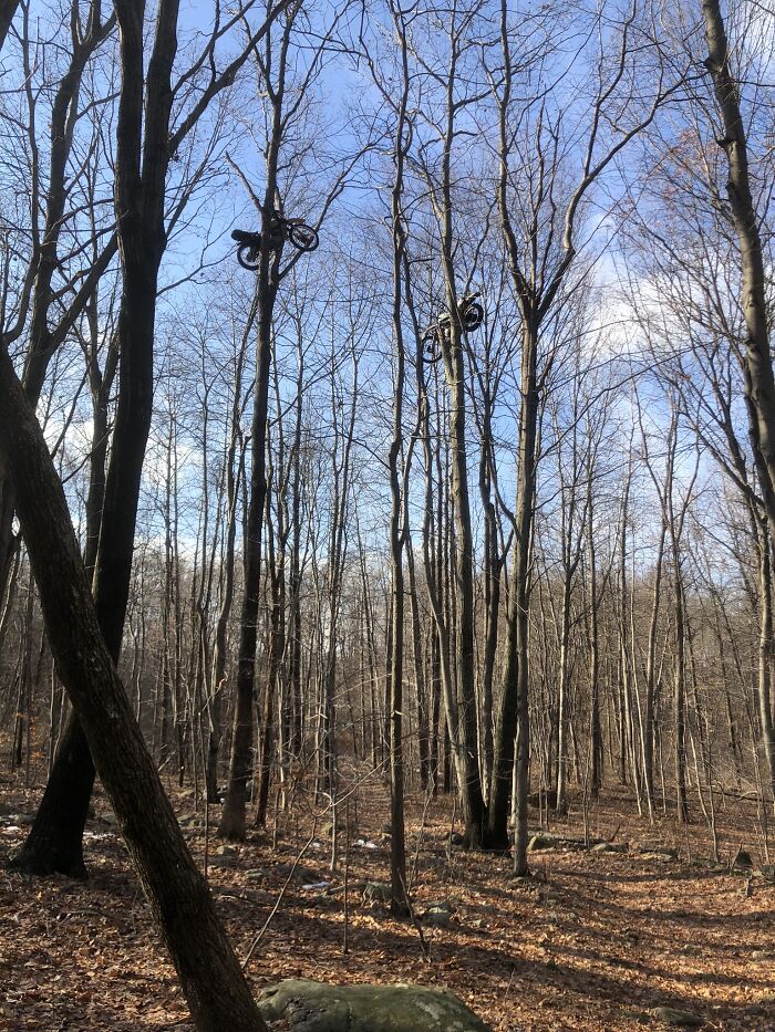 Hey Pandas, Share The Prettiest Photo In Your Camera Roll (Closed) Hey Pandas, Share The Prettiest Photo In Your Camera Roll (Closed)