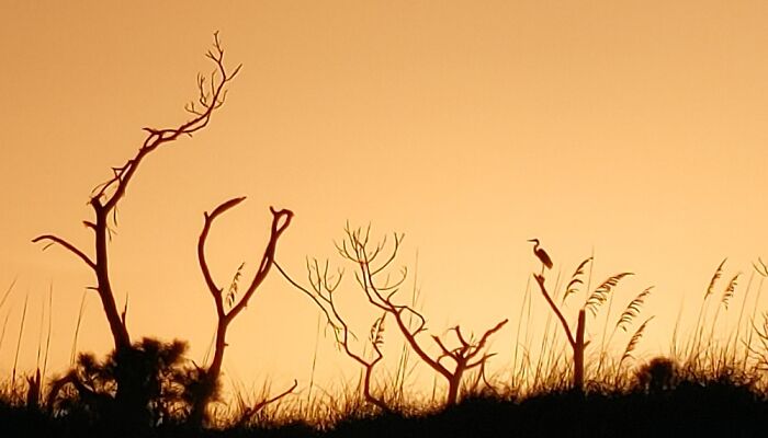 Hey Pandas, Share The Prettiest Photo In Your Camera Roll (Closed) Hey Pandas, Share The Prettiest Photo In Your Camera Roll (Closed)