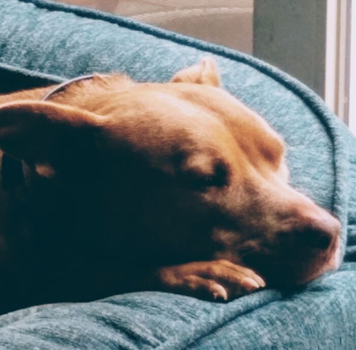 Hey Pandas, Share The Prettiest Photo In Your Camera Roll (Closed) Hey Pandas, Share The Prettiest Photo In Your Camera Roll (Closed)