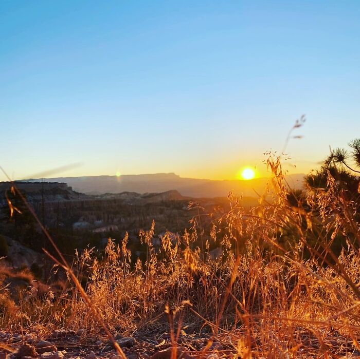 Hey Pandas, Share The Prettiest Photo In Your Camera Roll (Closed) Hey Pandas, Share The Prettiest Photo In Your Camera Roll (Closed)