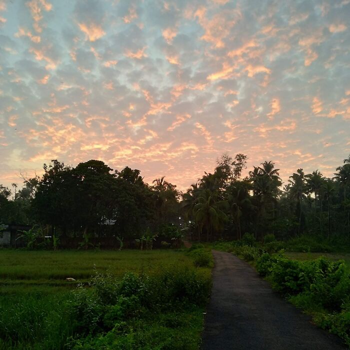 Hey Pandas, Share The Prettiest Photo In Your Camera Roll (Closed) Hey Pandas, Share The Prettiest Photo In Your Camera Roll (Closed)