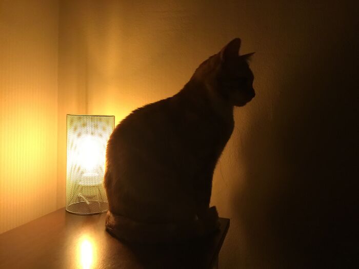 Hey Pandas, Share The Prettiest Photo In Your Camera Roll (Closed) Hey Pandas, Share The Prettiest Photo In Your Camera Roll (Closed)