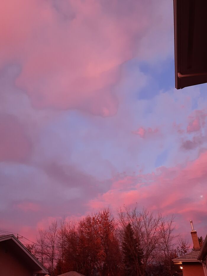 Hey Pandas, Share The Prettiest Photo In Your Camera Roll (Closed) Hey Pandas, Share The Prettiest Photo In Your Camera Roll (Closed)