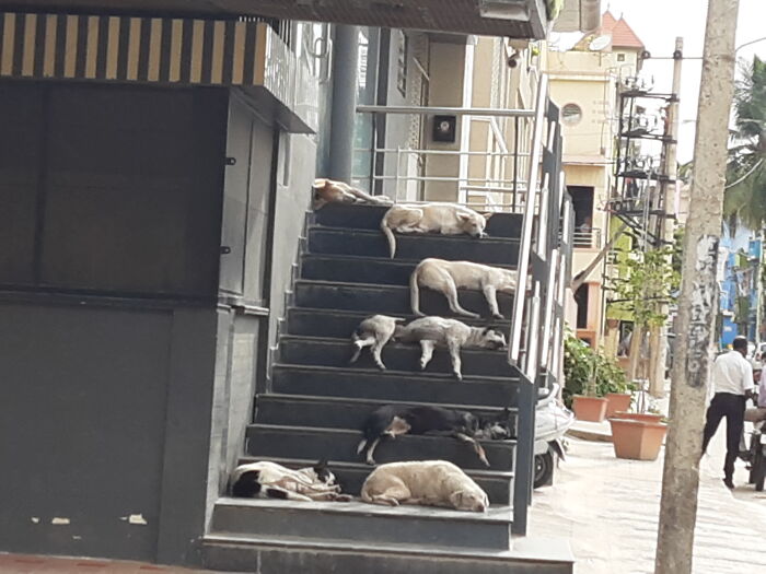 Hey Pandas, Share The Prettiest Photo In Your Camera Roll (Closed) Hey Pandas, Share The Prettiest Photo In Your Camera Roll (Closed)