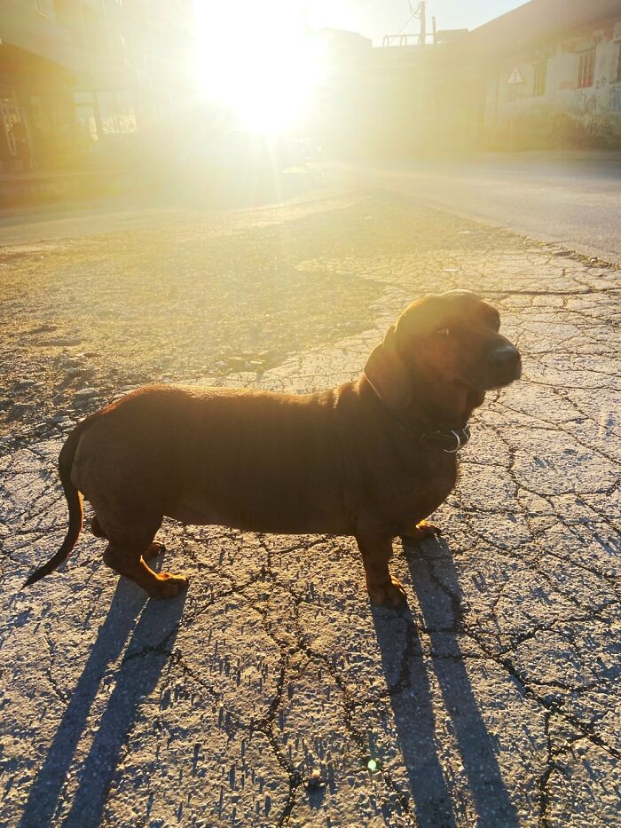 Hey Pandas, Share The Prettiest Photo In Your Camera Roll (Closed) Hey Pandas, Share The Prettiest Photo In Your Camera Roll (Closed)