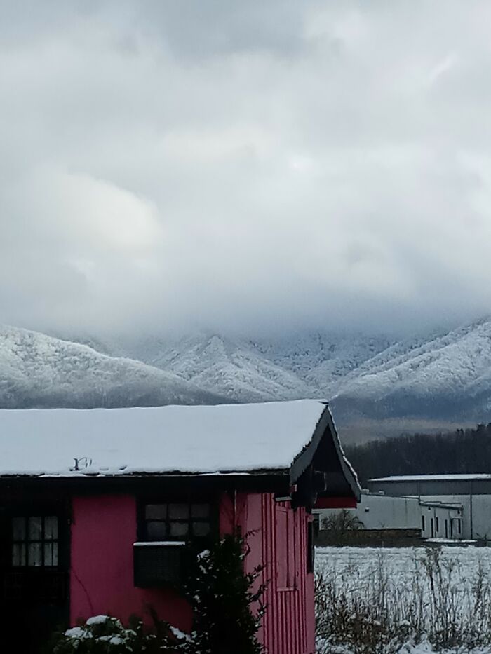 Hey Pandas, Share The Prettiest Photo In Your Camera Roll (Closed) Hey Pandas, Share The Prettiest Photo In Your Camera Roll (Closed)