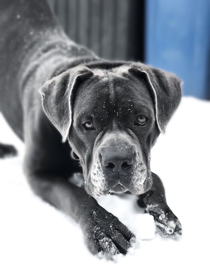 Hey Pandas, Share The Prettiest Photo In Your Camera Roll (Closed) Hey Pandas, Share The Prettiest Photo In Your Camera Roll (Closed)