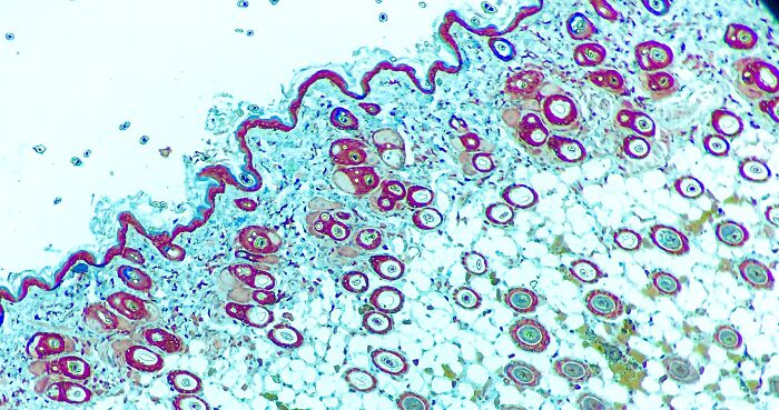 Hey Pandas, Share The Prettiest Photo In Your Camera Roll (Closed) Hey Pandas, Share The Prettiest Photo In Your Camera Roll (Closed)