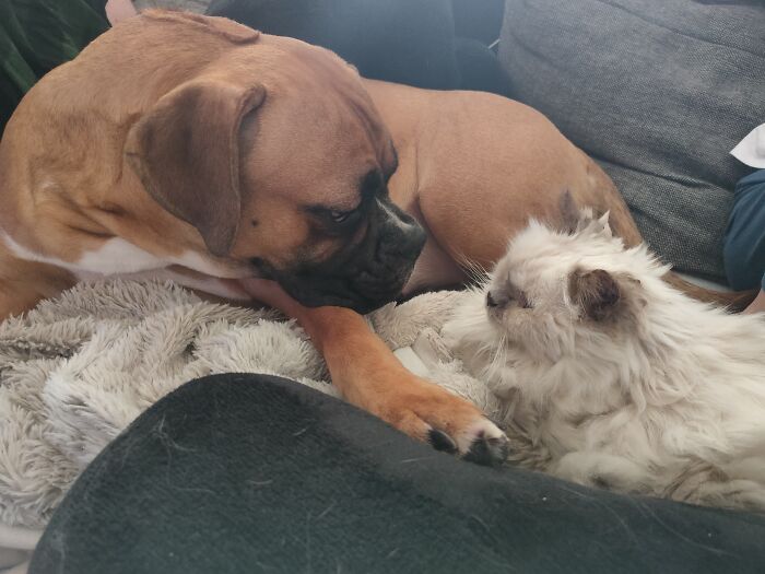 Hey Pandas, Share The Prettiest Photo In Your Camera Roll (Closed) Hey Pandas, Share The Prettiest Photo In Your Camera Roll (Closed)