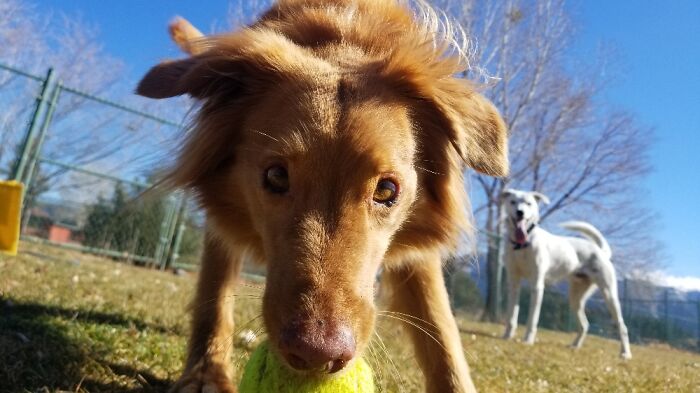 Hey Pandas, Share The Prettiest Photo In Your Camera Roll (Closed) Hey Pandas, Share The Prettiest Photo In Your Camera Roll (Closed)