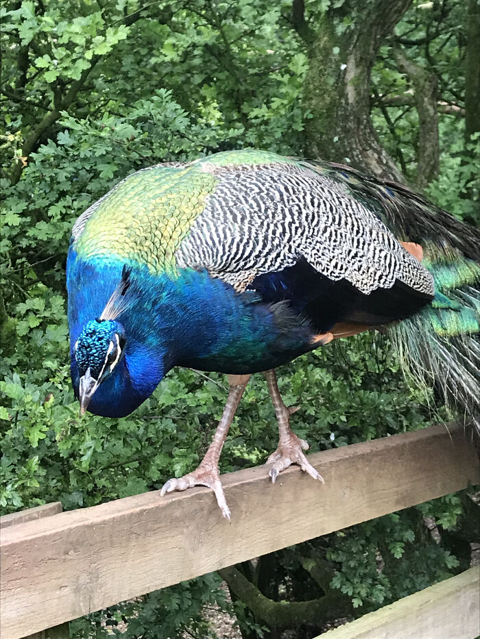 Hey Pandas, Share The Prettiest Photo In Your Camera Roll (Closed) Hey Pandas, Share The Prettiest Photo In Your Camera Roll (Closed)