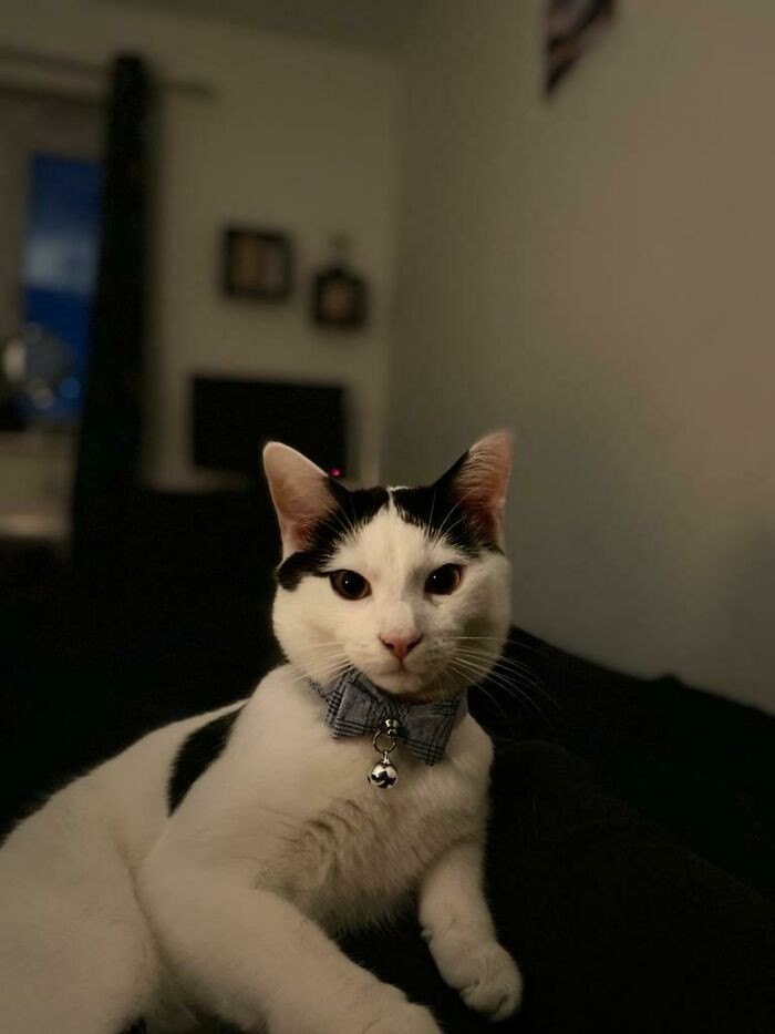 Hey Pandas, Share The Prettiest Photo In Your Camera Roll (Closed) Hey Pandas, Share The Prettiest Photo In Your Camera Roll (Closed)