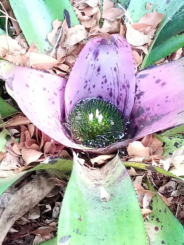 Hey Pandas, Share The Prettiest Photo In Your Camera Roll (Closed) Hey Pandas, Share The Prettiest Photo In Your Camera Roll (Closed)