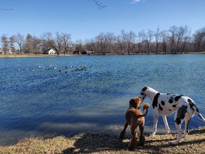 Hey Pandas, Share The Prettiest Photo In Your Camera Roll (Closed) Hey Pandas, Share The Prettiest Photo In Your Camera Roll (Closed)