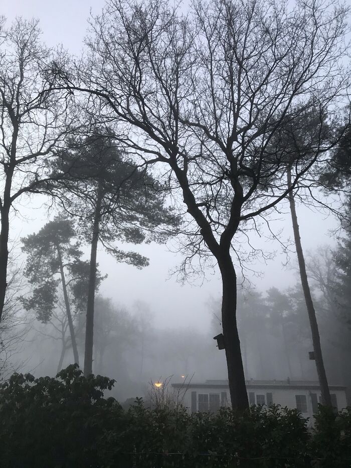 Hey Pandas, Share The Prettiest Photo In Your Camera Roll (Closed) Hey Pandas, Share The Prettiest Photo In Your Camera Roll (Closed)