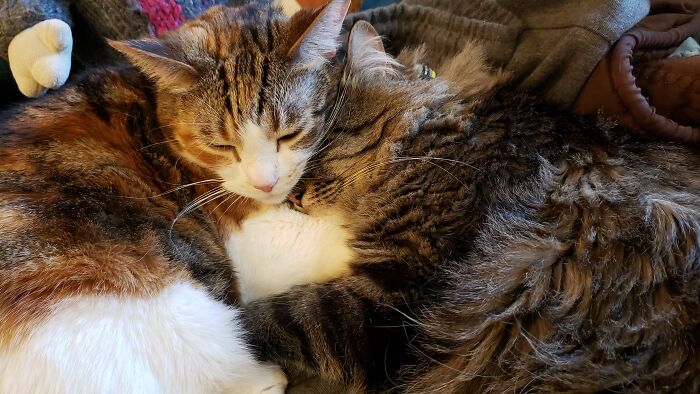 Hey Pandas, Share The Prettiest Photo In Your Camera Roll (Closed) Hey Pandas, Share The Prettiest Photo In Your Camera Roll (Closed)