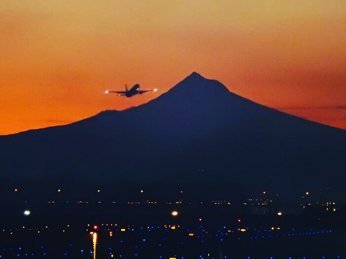 Hey Pandas, Share The Prettiest Photo In Your Camera Roll (Closed) Hey Pandas, Share The Prettiest Photo In Your Camera Roll (Closed)