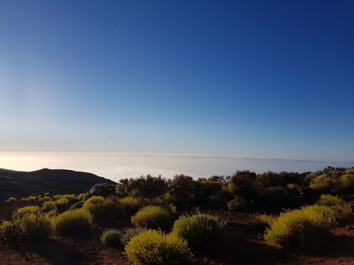 Hey Pandas, Share The Prettiest Photo In Your Camera Roll (Closed) Hey Pandas, Share The Prettiest Photo In Your Camera Roll (Closed)