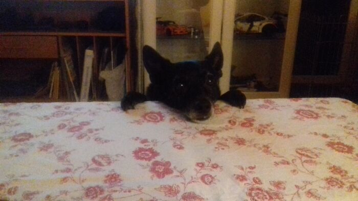 Hey Pandas, Share The Prettiest Photo In Your Camera Roll (Closed) Hey Pandas, Share The Prettiest Photo In Your Camera Roll (Closed)