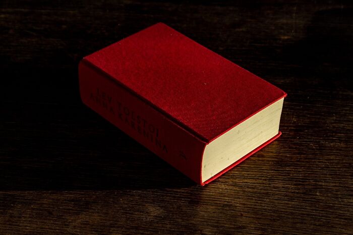 Hey Pandas, Share The Prettiest Photo In Your Camera Roll (Closed) Hey Pandas, Share The Prettiest Photo In Your Camera Roll (Closed)