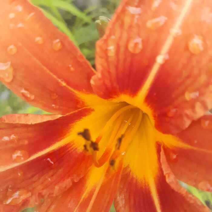 Hey Pandas, Share The Prettiest Photo In Your Camera Roll (Closed) Hey Pandas, Share The Prettiest Photo In Your Camera Roll (Closed)