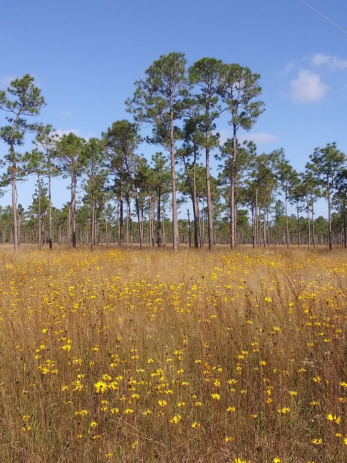 Hey Pandas, Share The Prettiest Photo In Your Camera Roll (Closed) Hey Pandas, Share The Prettiest Photo In Your Camera Roll (Closed)