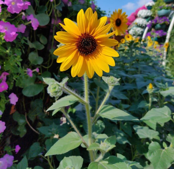 Hey Pandas, Share The Prettiest Photo In Your Camera Roll (Closed) Hey Pandas, Share The Prettiest Photo In Your Camera Roll (Closed)