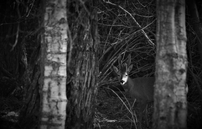 Hey Pandas, Share The Prettiest Photo In Your Camera Roll (Closed) Hey Pandas, Share The Prettiest Photo In Your Camera Roll (Closed)