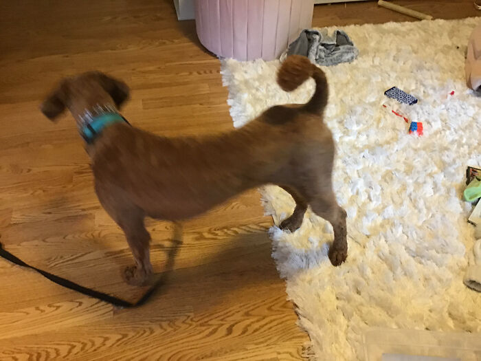 Hey Pandas, Share The Prettiest Photo In Your Camera Roll (Closed) Hey Pandas, Share The Prettiest Photo In Your Camera Roll (Closed)